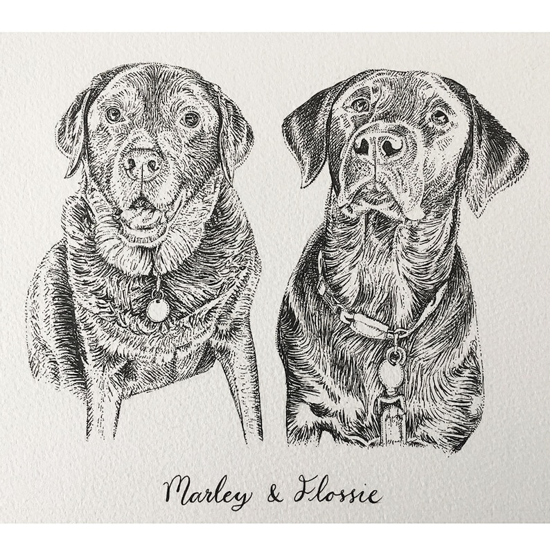 Personalised Pen and Ink Pet Portrait with Name