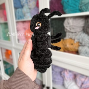 Peut inclure: Une fourmi en crochet noir avec une grosse tête et un seul gros œil brun. La fourmi est tenue dans la main d'une personne.