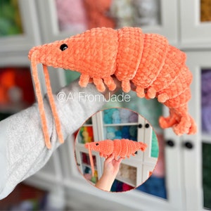 Crochet PATTERN: Caroline the Shrimp (English/français)