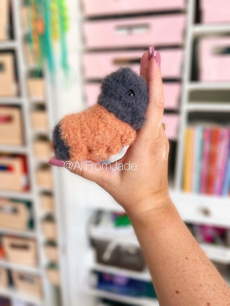 Virkmönster: Fidget Buggies-paket (engelska/franska) - Fidget Amigurumi-handledning bild 10