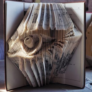 Peut inclure: Un livre ouvert dont les pages sont méticuleusement pliées pour créer un design en trois dimensions. L'œuvre révèle une forme abstraite détaillée avec des motifs et des ombres complexes, mettant en valeur l'art du pliage de livre.