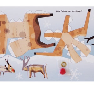 Ansichtkaart "Rendier Rudolf" Christmas Edition Craft Arch
