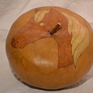original gourd gourd box