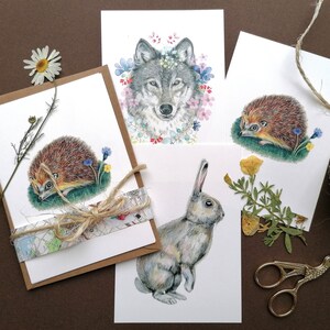 Faune et animaux forestiers. Jeu de 3 cartes de notes d’illustrations nature + enveloppes. Hérisson, lapin et loup. Aquarelle et crayon.