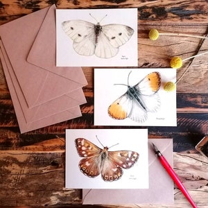 Borboletas, 3 blocos de impressões de desenhos a lápis de cor em papel ecológico. Ponta laranja, repolho branco e borboleta madeira salpicada.