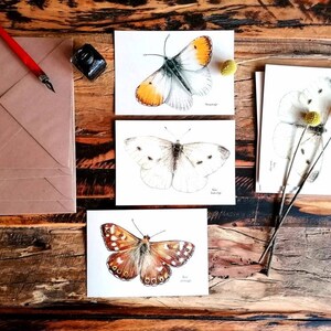 Borboletas, 6 blocos de impressões de desenhos a lápis de cor em papel ecológico. Ponta laranja, repolho branco e borboleta madeira salpicada.