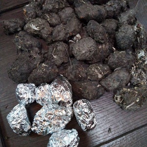 10 Owl Pellets, Size MEDIUM, Forest Found, Rodent Skulls, Tiny Bones, Kids Activity, Nature Study, Treasure, Classroom Fun Bild 3