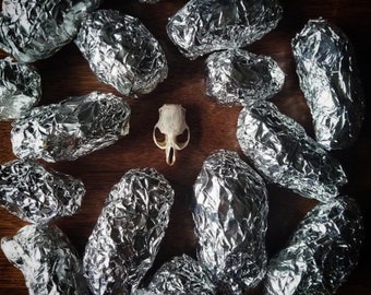 25 Owl Pellets, Size MEDIUM, Forest Found, Rodent Skulls, Tiny Bones, Kids Activity, Nature Study, Treasure, Classroom Fun