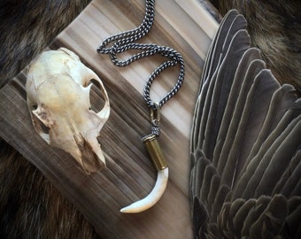 Scavenged Muskrat Tooth Amulet Necklace, Brass, Bullet, Feral Fashion, Witchy, Tooth, Taxidermy, Roadkill, Magic, Metal, All Gender Jewelry