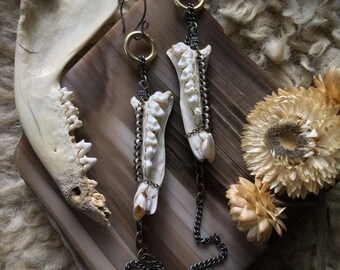 Scavenged Opossum Jaw Beaded Earrings, Brass Chains, Beadwork, Feral Fashion, Witchy, Metal, Roadkill, Taxidermy, All Gender Jewelry