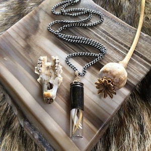 Scavenged Rodent Teeth Jar Amulet, Sourced from Owl Pellets, Witchy, Goth, Feral, Wilderpunk, Vulture Culture, Deer, Jewelry For All Genders
