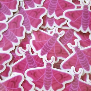 Pastel Luna sticker / moth / lunar / moon / celestial / pastel / pink