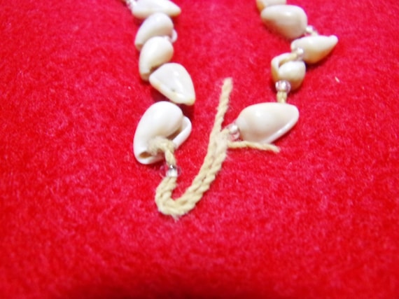 Native American Olivella Shell Bead Necklace - image 2