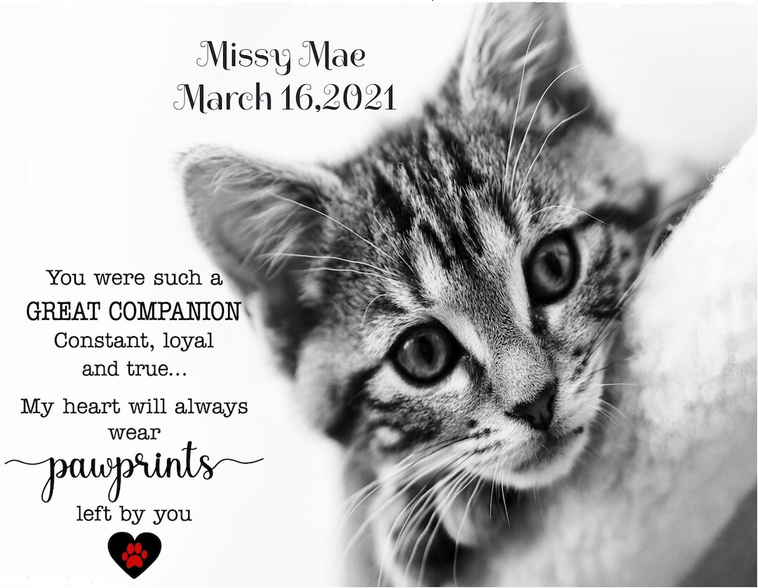 Beloved Cat, Cat Bereavement, Memorial for Pet, Loss of Pet Gift, Loss