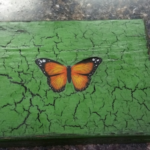 Green Essential Oil Box with Orange Butterfly, Oil Safe, Wooden Box