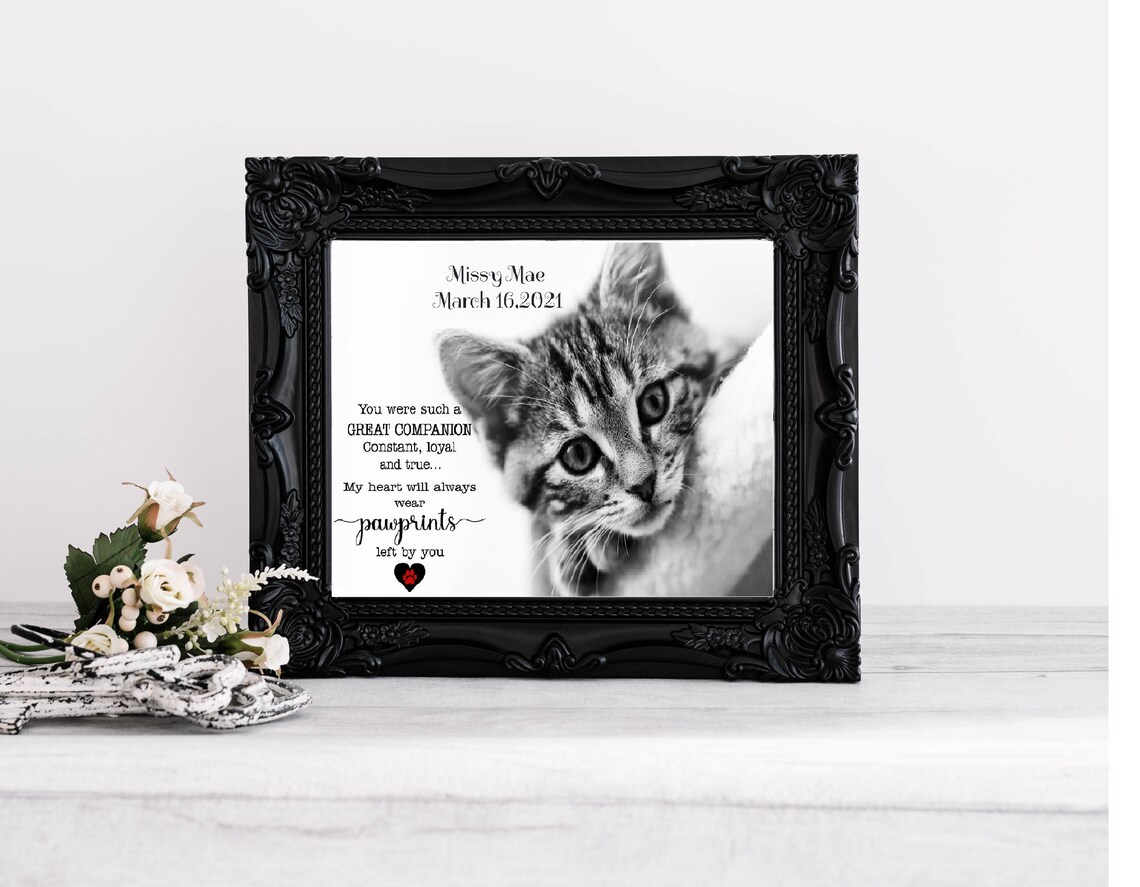 Geliebte Katze Katze Trauer Denkmal für Haustier Verlust Etsy