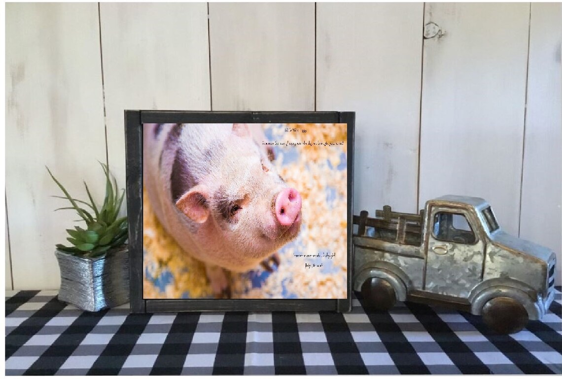 Beloved Pig, Pig Bereavement, Memorial for Pet, Loss of Pet Gift, Loss