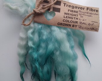 May include: A bundle of teal and white wool fiber, labeled "Tregaver Fibre" with details about the fiber, weight, length, color, and grower.