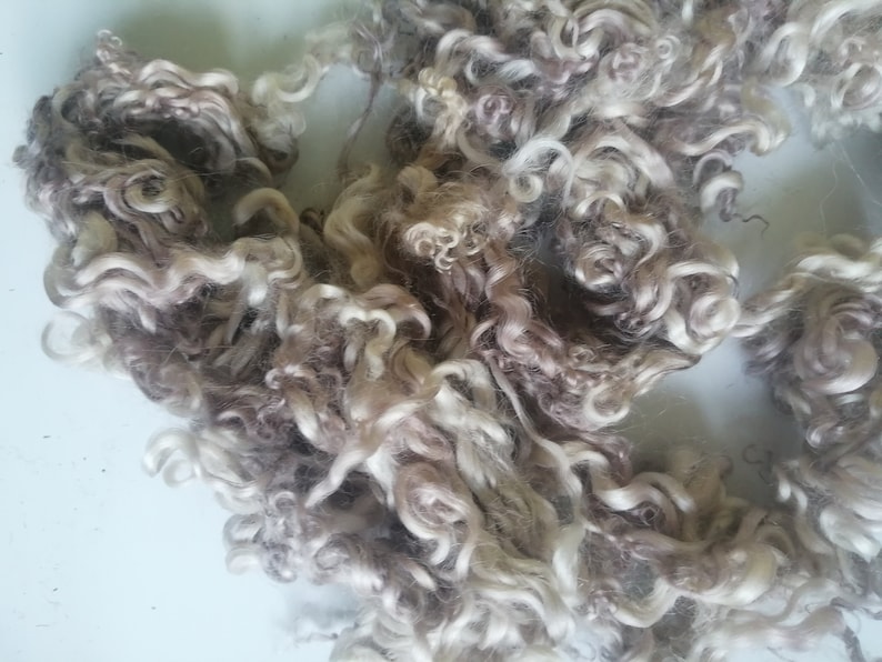 whitewater loose fibre ethically farmed pale brownsilver curly wool doll makingfelting hair 10g teeswater x white faced dartmoor