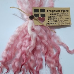 Pode incluir: Um pacote de fibra de lã rosa e branca, etiquetado como "Tregaver Fibre", com os detalhes "Whitefaced Dartmoor", "Peso 79g", "Comprimento 5-7" aprox", "Cor Rose Ank", "OIP", e "Cultivado por Wools Rock".