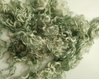 Pale green curly wool, whitewater (teeswater x white faced dartmoor) loose fibre ethically farmed, 10g, for hair, doll making/felting