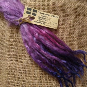 May include: A bundle of purple and blue Tregaver Suri fiber, tied with twine. The attached tag reads "Tregaver Fibre" with details about the fiber's weight, length (6-12 inches), and color "Fairy Mix".