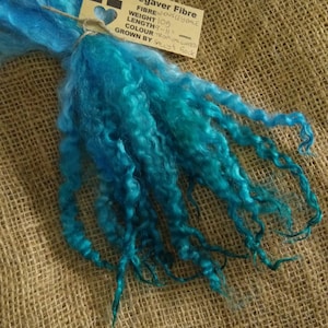 Tropical waters, blue/aqua mix  curly wool locks wensleydale locks, 10g, hand processed & dyed, felting, doll hair, fibre arts, crafting,