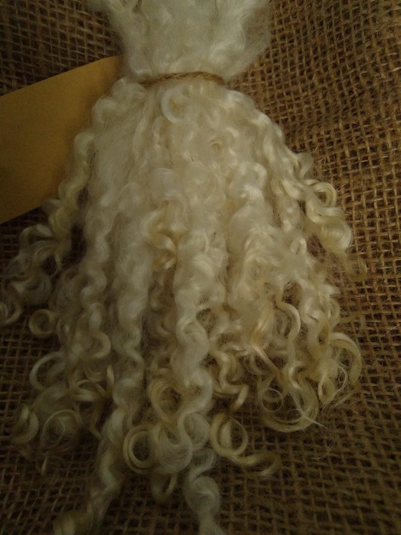 Natural Undyed Curly Wool Locks, v Teeswater X Wensleydale 6 10g Doll