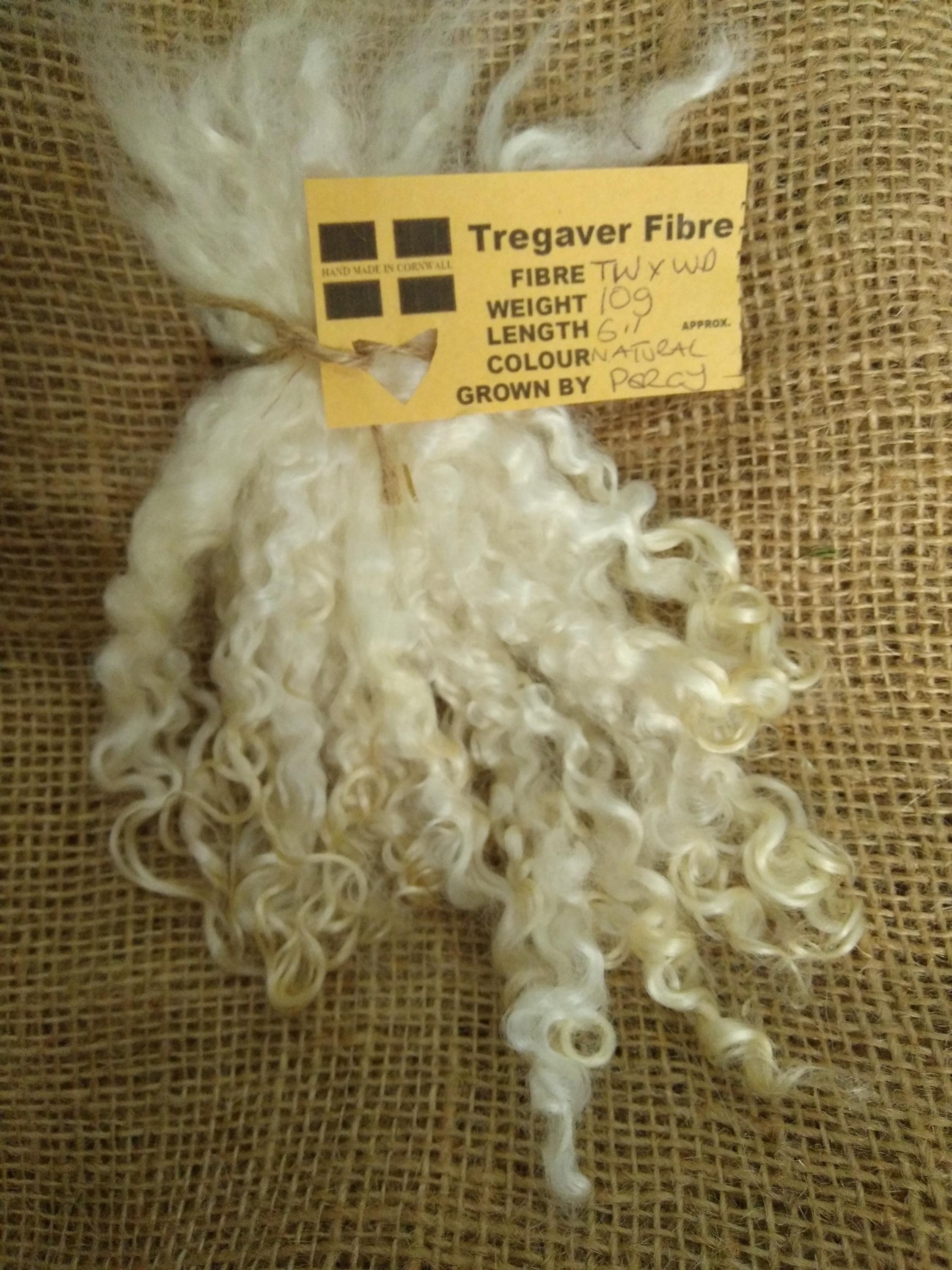 Natural undyed  curly wool locks, (v) teeswater x wensleydale   6" 10g or valais blacknose, doll hair, felting, perfect santa beard