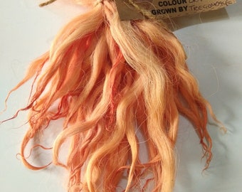 Orange Mix wavy mini wool locks, hand washed dyed, 4-6", 10g, Devon Cornwall Longwool, doll hair fibre art felting fiber, doll making