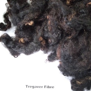 May include: A close-up of a pile of black and brown wool fibers. The fibers are soft and fluffy, and they are perfect for spinning or felting. The text "Tregaver Fibre ONLY AVAILABLE ON ETSY" is visible at the bottom of the image.