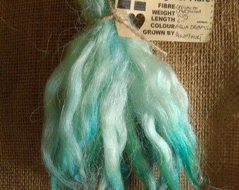 May include: A bundle of teal and white alpaca fiber, labeled "Tregaver Fibre" with details about the fiber, weight, length, color, and grower.