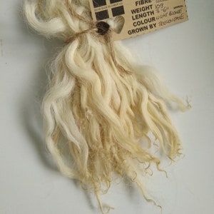 May include: A bundle of light blonde wool fiber, approximately 36 inches long, weighing 100 grams. The label reads "Tregaver Fibre" and includes details about the fiber's origin and weight.