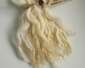 Wavy mini wool locks, hand washed and hand dyed in light blonde 3-6&quot;, 10g, Devon & Cornwall Longwool, doll hair fibre art felting fiber,