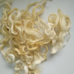 Blonde and yellow wavy wool fibre and locks, hand washed and hand dyed 10g, Devon & Cornwall Longwool, rare breed,  doll hair fibre art