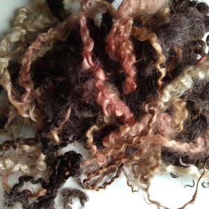 Black and brown curly wool, mixed  breeds of curly wool sheep, 100% hand processed & dyed, crafting , felting, doll hair, fibre arts,