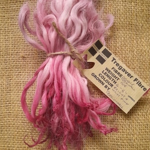 Pode incluir: Um pacote de fibra Tregaver rosa e branca, um tipo de lã, amarrado com barbante. O rótulo diz "Tregaver Fibre", "Fibre", "Peso 106", "Comprimento 4-6" APPROX., "Cor Brilhante & Rosa claro", "Cultivado por TREGONDALE."