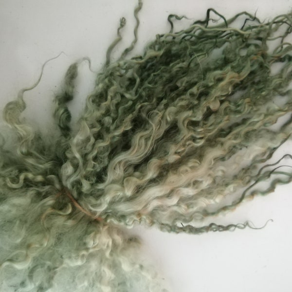 Lichen green colour wensleydale curly wool locks, 10-12", perfect for felting, doll hair, fibre arts 28, (1oz) or 14g (1/2 oz)