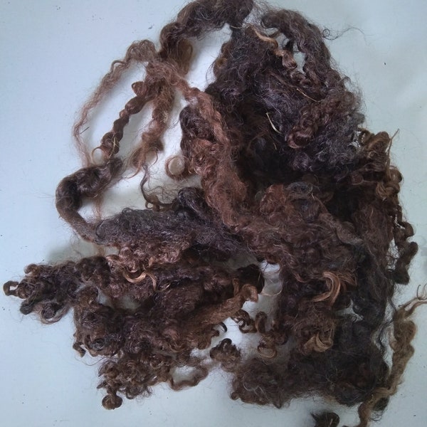 Wensleydale curly wool and locks, natural undyed black and brown, felting, doll hair, fibre arts, ethically farmed, 10g