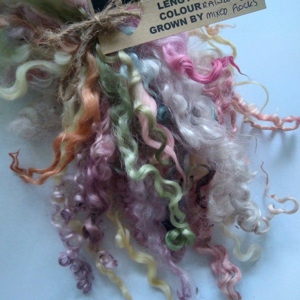 14g curly wool ringlets Rainbow PASTELS, ethically farmed, felting, fibre art, dolls. Budget bunch - Imperfect but great for small projects