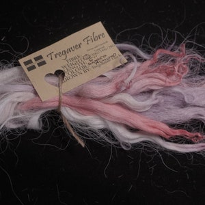 Pode incluir: Um feixe de fibra de lã rosa, branca e roxa, amarrado com um barbante. Um rótulo diz "Tregaver Fibre" com informações sobre a fibra, o peso e a cor.