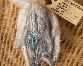 May include: A bundle of Tregaver Fibre, a natural fiber product, with a tag attached. The fiber is a mix of white, gray, and teal colors. The tag indicates the fiber is BFL, weighs 109, and is 5-7 inches long.