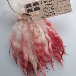 May include: A bundle of pink and white wool fiber, tied with twine. The label reads "Tregaver Fibre", "FIBRE Dejon & Cornw", "HAND MADE IN CORNWALL", "WEIGHT 79 APPROX.", "LENGTH 4-6", "COLOUR Red Pink AP", "GROWN BY TREGONDALE".