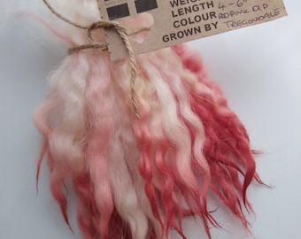 Czerwone, różowe, falowane i karbowane miniaturowe pasma wełny, prane ręcznie, farbowane, 4-6 cali, 7 g, Devon & Cornwall Longwool, włókno do filcowania włosów dla lalek