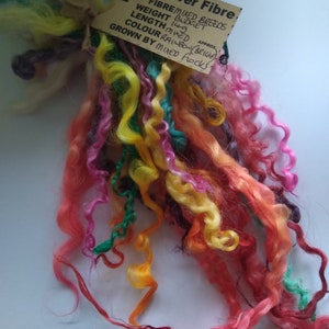 May include: A rainbow colored bundle of wool fiber, approximately 149 grams, with a tag that reads "Tregaver Fibre Mixed Breeds Budget Approx. Length Med Colour Rainbow (Beige) Grown by Mixed Rocks".