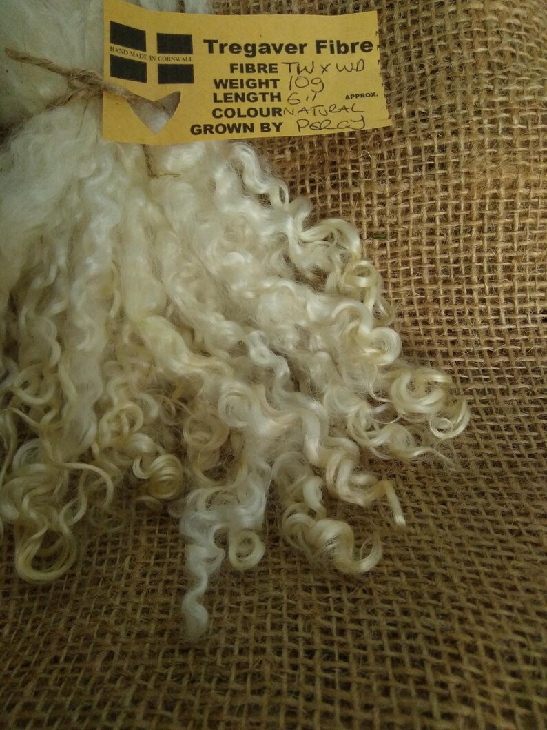 Natural Undyed Curly Wool Locks, v Teeswater X Wensleydale 6 10g Doll