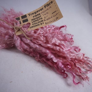Peut inclure: Fibre de mohair rose, environ 14,9 grammes, 6 pouces de long, étiquetée "Tregaver Fibre, cultivée par Boudicca".