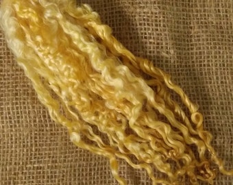 Light Golden Yellow mix  curly wool locks, (v) teeswater  6-10" , 10g doll hair, felting,  fibre art, fiber needle felt, perfect doll hair