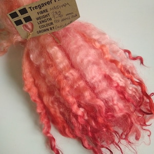 Red orange pink curly wool locks, hand dyed, masham, 7-9" , 28g, 14g or 7g doll hair, fibre art, felting, fiber, hair, spinning, weaving