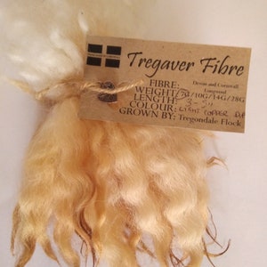 Pode incluir: Um pacote de lã de ovelha Longwool de Devon e Cornualha de cor cobre claro. A lã mede 3 a 5 polegadas de comprimento e pesa 7/10 g, 14 g ou 28 g. A lã é cultivada por Tregondale Flock.